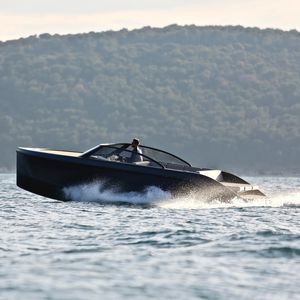 runabout entrobordo / fuoribordo / elettrico / max. 12 persone