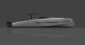barca open fuoribordo / hard-top / max. 12 persone / con cabina