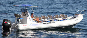 gommone fuoribordo / bimotore / RIB / con console centrale