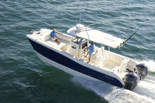 catamarano a motore : barca open da pesca sportiva 290 CC World Cat