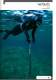 APNEA 2010