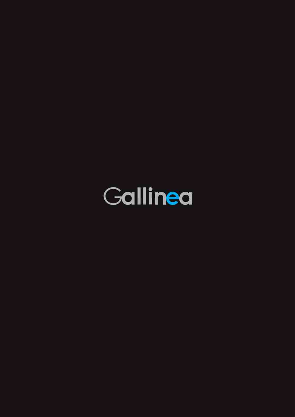COMPANY PROFILE - gallinea