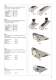 Catalogo Generale