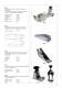 Catalogo Generale