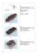 Catalogo Generale