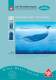 Blue_Baleen_System