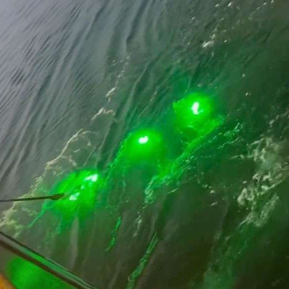 Brensty 12V LED Verde Pesca Notturna Submersibile Barca - Foto 9