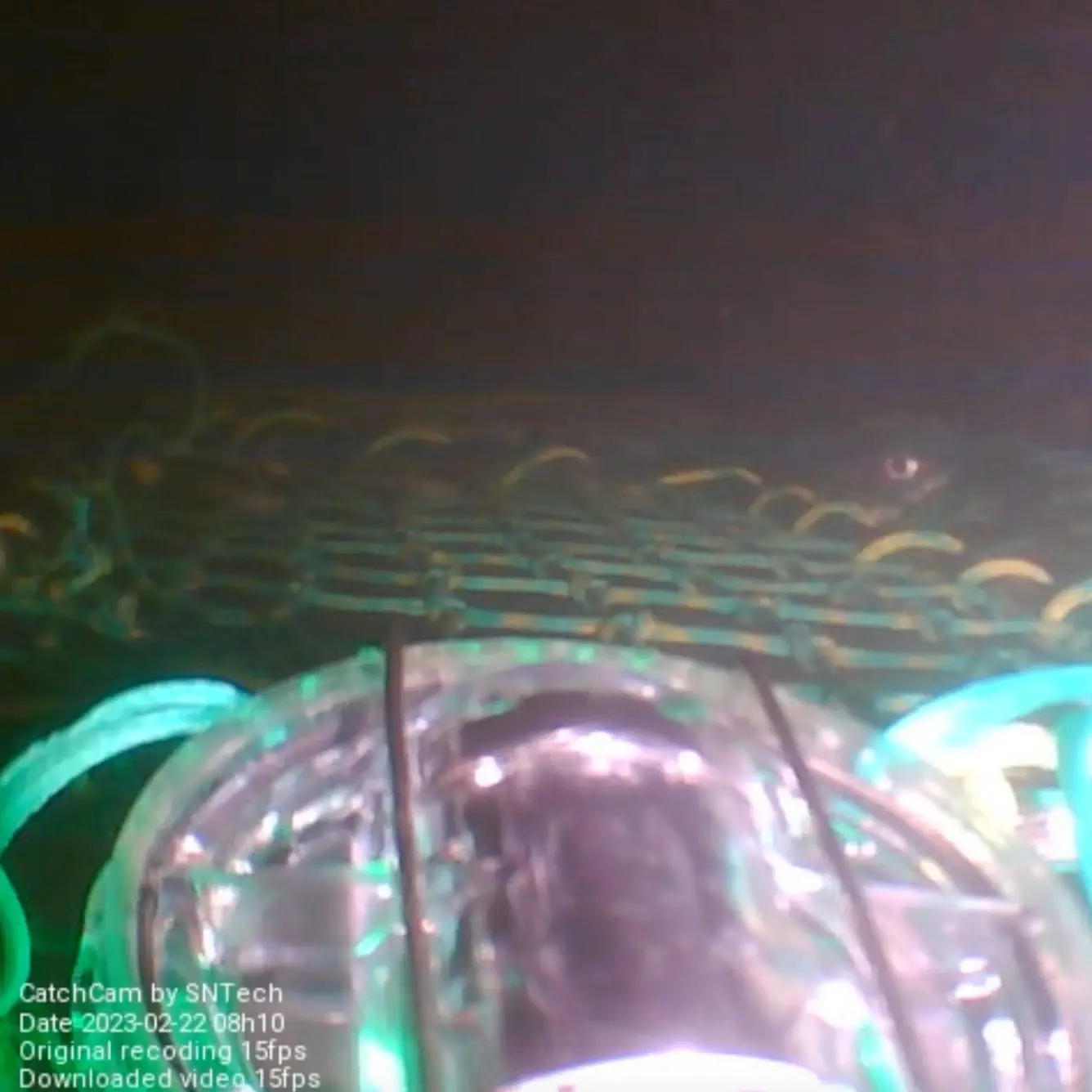 Luci Da Pesca Con Allarme A LED - 4 Luci Con Campana, Impermeabili, Per Pesca Notturna, Con Batteria