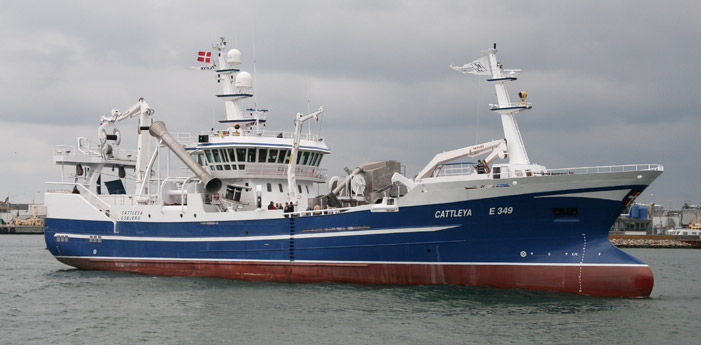 Barca Professionale Della Rete A Circuizione - 24M - Estaleiros Navais De Peniche - Entrobordo / GRP - Foto 8