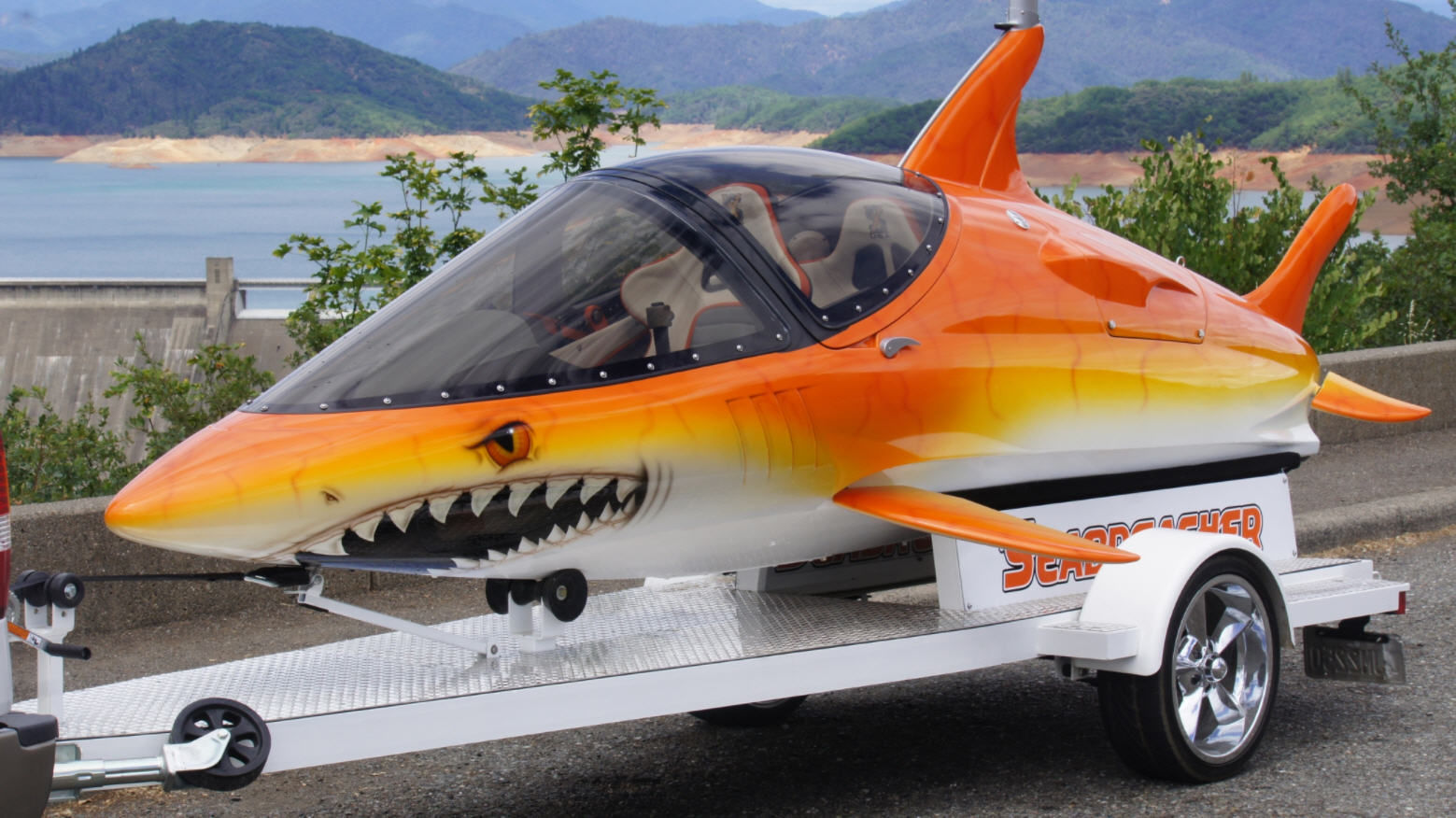 Barracuda, Tonno, Gamberi E Sgombri Fuorilegge: Maxi Sequestro Di Pesce Al Casello Di Barcellona