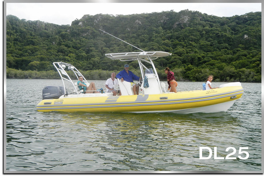 Gommone fuoribordo DL25 Make Sense Marine Corp DBA Caribe Nautica