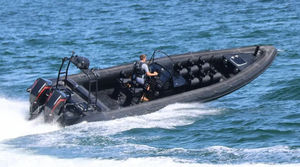 barca professionale battello turistico