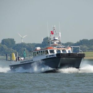 pilotina