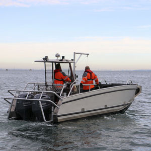 barca professionale mezzo da sbarco / fuoribordo