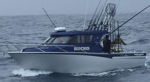 barca professionale barca da pesca professionale