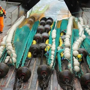 rete da pesca