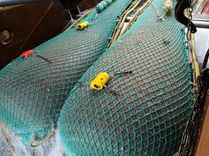 rete da pesca