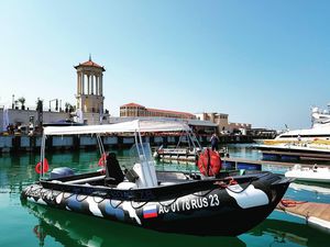 barca professionale barca da pesca professionale / barca da lavoro / barca utilitaria / barca per acquacoltura