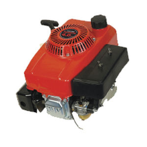 motore entrobordo