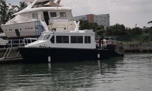 barca professionale ferry-boat 1