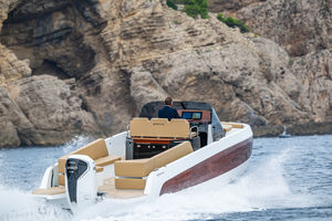 cabin-cruiser fuoribordo