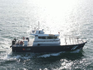 barca professionale pilotina