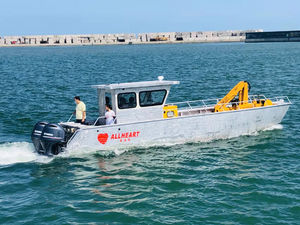 barca professionale mezzo da sbarco 1