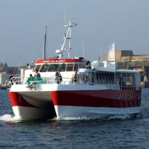 barca professionale barca per trasporto passeggeri / catamarano / entrobordo / in alluminio
