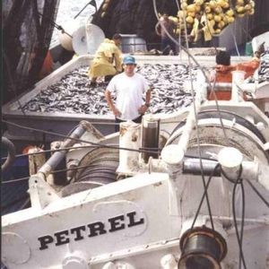 argano per nave