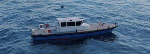barca professionale pilotina