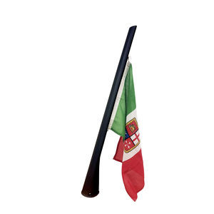 asta in carbonio