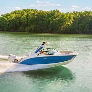 runabout fuoribordo 1