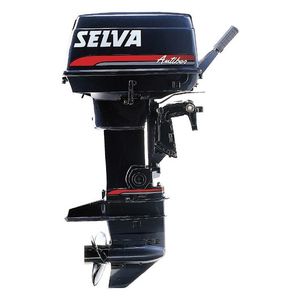 Motore Fuoribordo 6.5 CV 4 Tempi 123cc: Per Gommoni E Barche Da Pesca, Avviamento Manuale, Raffreddato Ad Acqua