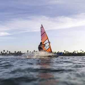 vela da windsurf da wave 1