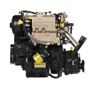 motore entrobordo 1