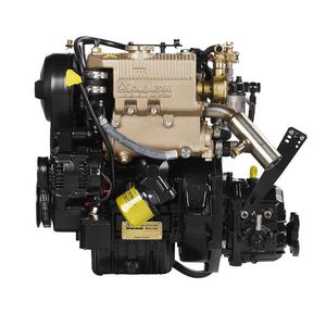 motore entrobordo 1
