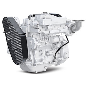 motore entrobordo