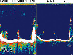 fishfinder per barca / a colori