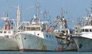 fishfinder per nave da pesca
