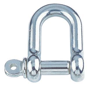 grillo non specificato 1