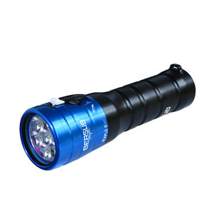 torcia per immersione LED