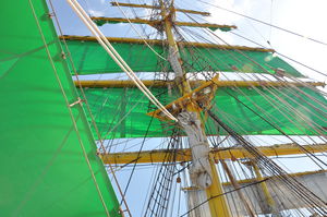 tessuto per vele laminato