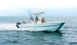 barca open catamarano