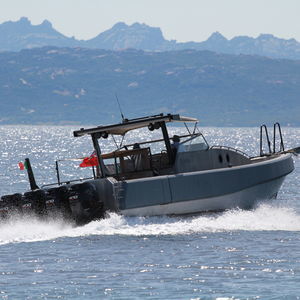 runabout fuoribordo
