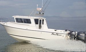 cabin-cruiser fuoribordo 1