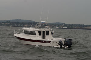 cabin-cruiser fuoribordo