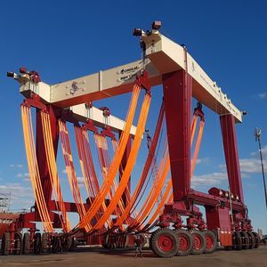 travel lift controllato a distanza