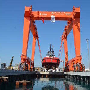 travel lift controllato a distanza 1