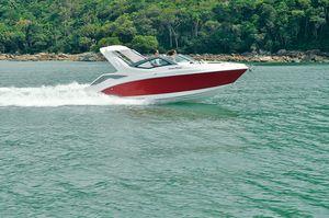 runabout entrobordo 1
