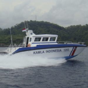 barca professionale patrol boat / catamarano / diesel / fuoribordo